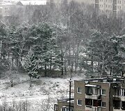 Sniegas Vilniuje