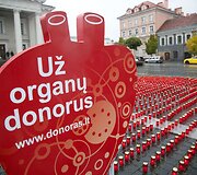 Vilniuje žvakučių akcija organų donorams pagerbti