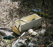 Vilniečiai tvarkosi