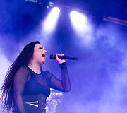 &bdquo;Evanescence&ldquo; koncertas Trakuose