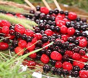 Egidijus Dragūnas pristatė gaivų gėrimą, kurio pelno dalis bus skiriama labdarai