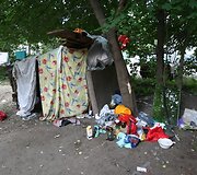 Benamių buveinė