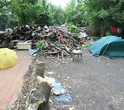Benamių buveinė