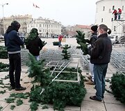 Katedros aik&scaron;tėje stovės dirbtinė eglė