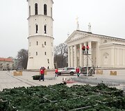 Katedros aik&scaron;tėje stovės dirbtinė eglė