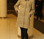 Kolekcijos modelis