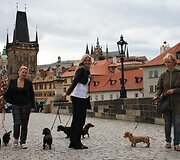 Pasivaik&scaron;čiojimas Prahos senamiestyje