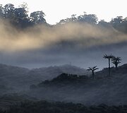 Papua Naujoji Gvinėja