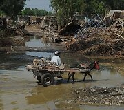 Potvynis Pakistane