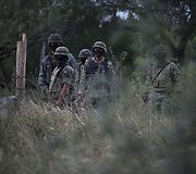 Kraujuojanti Meksikos žaizda: narkotikai ir smurtas