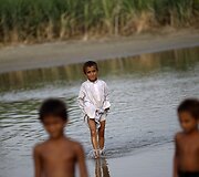 Potvynis Pakistane