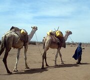 Gyvenimas Somalyje