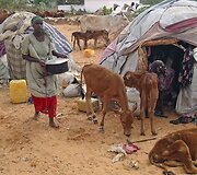 Gyvenimas Somalyje