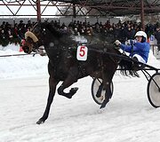 &bdquo;Sartai 2011&ldquo; žirgų lenktynių akimirka