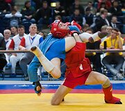 Sambo čempionato akimirka