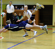 &bdquo;Flamingo Volley SM Tauras&ldquo; tinklininkai