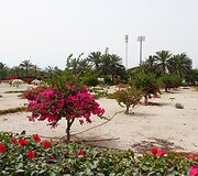 &bdquo;Foman Ultimate Lithuanians&ldquo; komandą pasitinka Abu Dabis