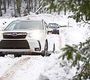 &bdquo;Subaru Forester&ldquo; bandymai sniego nuklotoje Suomijoje