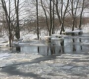 Vaizdas i&scaron; amfibijos: apsemtas &Scaron;ilutė-Rusnė kelio ruožas.