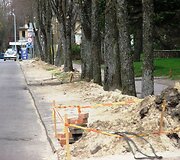 Ruo&scaron;iamasi vasaros sezonui.