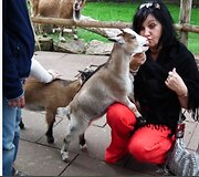 Konkurso nuotrauka