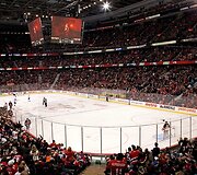 Ledo ritulio arena