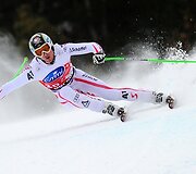 Hannesas Reicheltas i&scaron; Austrijos