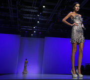 Modelis