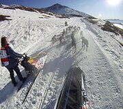 &Scaron;unų kinkinių lenktynių akimirka