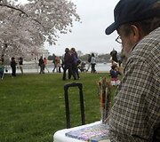 Vyras pie&scaron;ia žydinčias sakuras