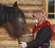 Galina Konjeva (74) &scaron;eria arklį