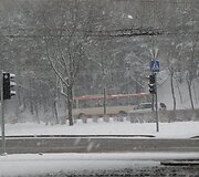 Sniegas Vilniuje
