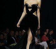 Modelis