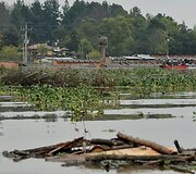 Potvynis Kolumbijoje