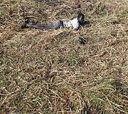 Berniukas guli ant žemės.