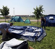 Vyrai stato palapines