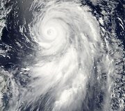 Taifūnas