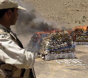 Pakistane naikinamos narkotinės medžiagos