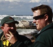Australijos reindžeriai stovi netoli negyvo banginio.