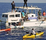 Plaukikė Diana Nyad (prie laivo)