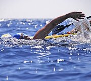 Diana Nyad