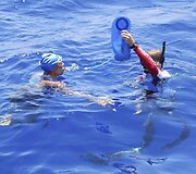 Diana Nyad buvo maitinama vandenyje.