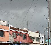 Viesulo į orą pakeltos &scaron;iuk&scaron;lės ir stogų atplai&scaron;os 