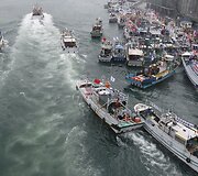 Taivano žvejų flotilė 