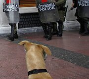 &Scaron;uo žiūri į policininkus