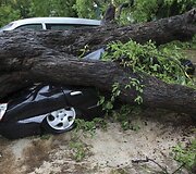 Nuvirtusio medžio prispaustas automobilis