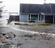 Sandy audra Niujorke