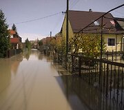 Potvynis