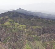 Taifūno Bopha padariniai