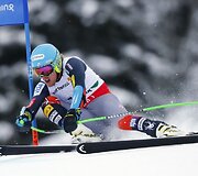 Tedas Ligety
